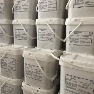 Men vi sinh xử lý hạt BIOB