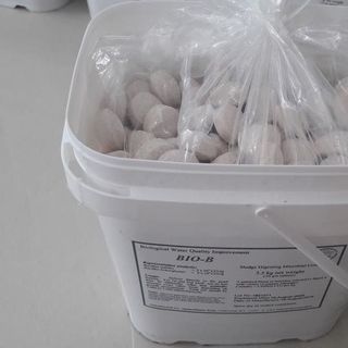 Men vi sinh xử lý hạt BIOB