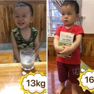 NGŨ CỐC BEONE