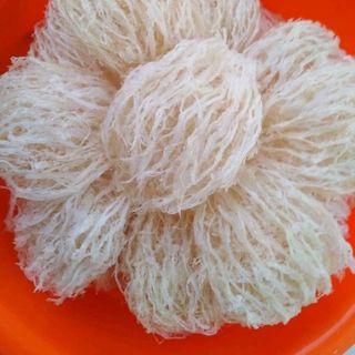 yến tinh chế thượng hạng