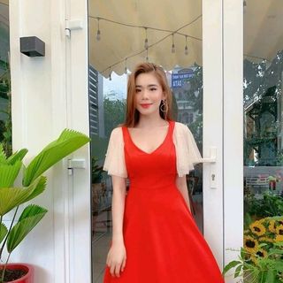 Đầm xòe tay lưới