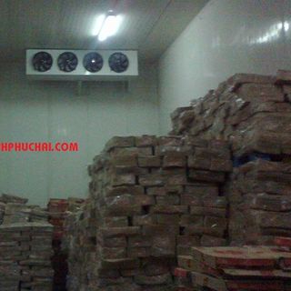 Chuyên thi công lắp đặt kho lạnh thủy sản với giá tốt nhất -