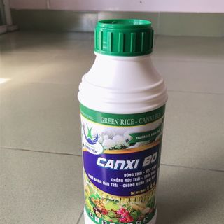 SIÊU CANXI BO