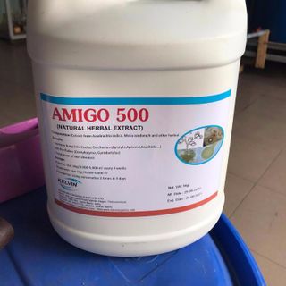 AMIGO 500 – India giá sỉ