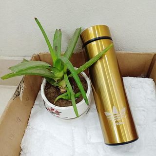 binh giữ nhiệt cao cấp thép 304