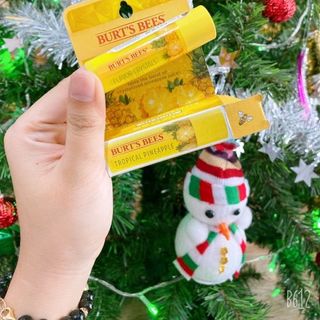 Son dưỡng Burts Bees giá sỉ