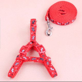 Dây dắt kèm yếm loại 15 cm