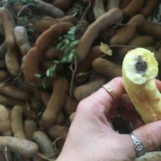 me dốt bột 1kg