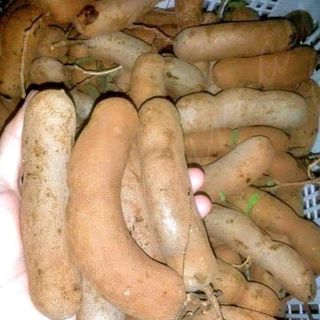 me dốt bột 1kg