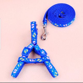 Dây dắt kèm yếm 1cm