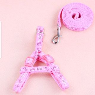 Dây dắt kèm yếm 1cm