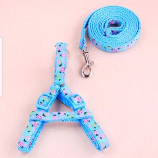 Dây dắt kèm yếm 1cm