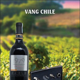 Vang nhập gói quà biếu tặng Tết 2019