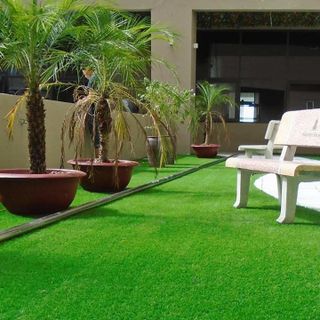 Cỏ nhân tạo loại dày 2cm