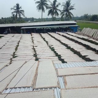 Sợi hủ tiếu nam vang