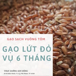 Trà gạo lứt và đậu đỏ rang củi theo phương pháp thực dưỡng ohsawa
