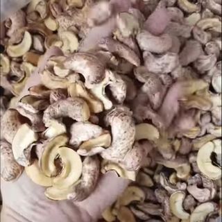 Điều vỡ cánh