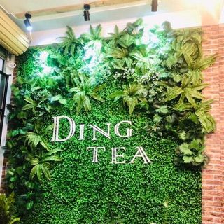 Thảm cỏ nhựa tai chuột trang trí sự kiện sang trọng