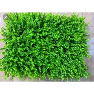 Thảm cỏ nhựa tai chuột trang trí sự kiện sang trọng