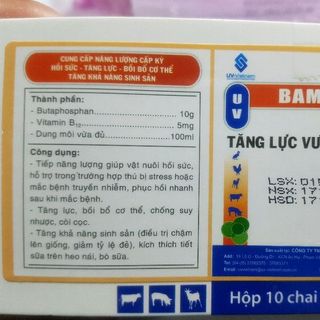 UV THIAM TĂNG LỰC TĂNG BO GÀ ĐÁ