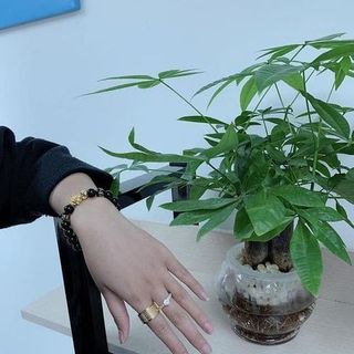 NHẪN BÁT NHÃ TÂM KINH