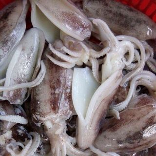 mực nang