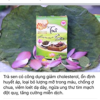 Sen hạt và các sản phẩm từ hạt sen