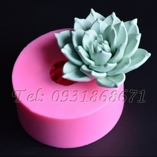 Khuôn rau câu silicon sen đá cánh kim – Mã số 223