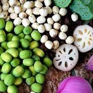 Sen hạt và các sản phẩm từ hạt sen