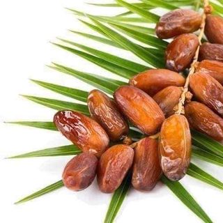 Chà là Nguyên cành