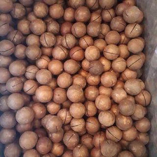 HẠT MACA