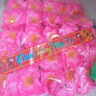 Hoa giả - Hoa anh đào rời