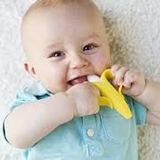 Gặm nướu chuối Mỹ