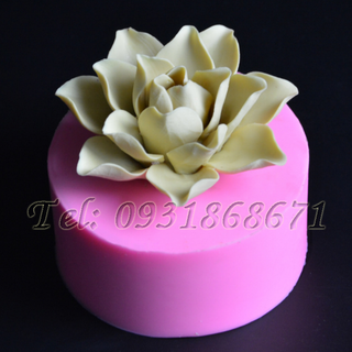 Khuôn rau câu silicon ngọc lan đại đóa - Mã số 224