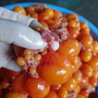 Kê gàtim gàtrứng gà non