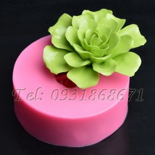 Khuôn rau câu silicon hoa hồng sa mạc - Mã số 228