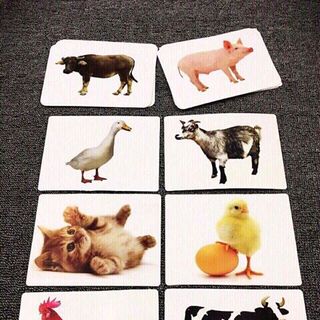 Bộ Thẻ Học Thông Minh