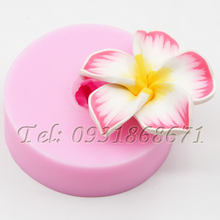 Khuôn rau câu silicon hoa sứ - Mã số 245