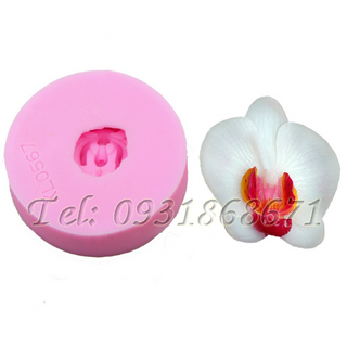 Khuôn rau câu silicon lan hồ điệp - Mã số 239