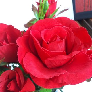 Hoa giả - Hoa hồng nhung cao cấp giá sỉ