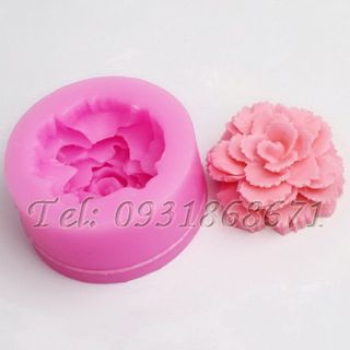 Khuôn rau câu silicon hoa cẩm chướng - Mã số 61