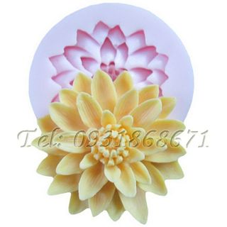 Khuôn rau câu silicon cúc cánh dài - Mã số 17