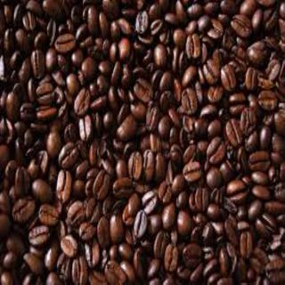 Cà phê Hạt Arabica mộc S16