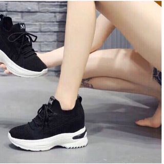 Giày bata độn 7p cao cấp