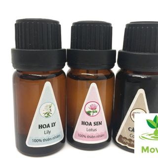 Tinh dầu HOA NHÀI xông phòng