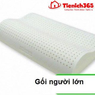 Gối cao su contour liên á giá sỉ