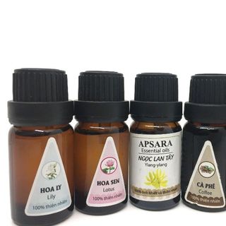 Miễn phí ship 10ml tinh dầu thơm phòng 20 mùi tự chọn