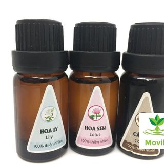 Miễn phí ship 10ml tinh dầu thơm phòng 20 mùi tự chọn