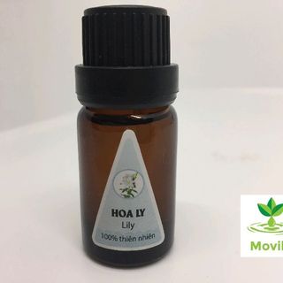 Miễn phí ship 10ml tinh dầu thơm phòng 20 mùi tự chọn