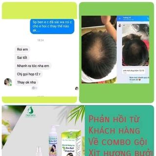 Combor dầu gội và tinh dầu trị rụng tóc